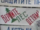 Пикет против строительства гаражей во Владимире. Фото Шляпужников Алексей