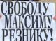 Пикет в поддержку Максима Резника. Фото Ларисы Верчиновой, Собкор®ru