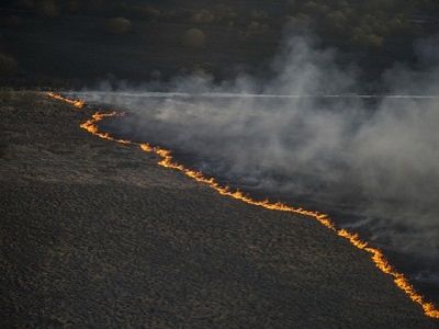 Лесной пожар под Чернобылем — вид с вертолета. Фото: МВД Украины