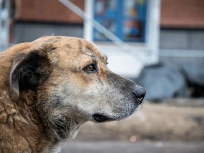 Фото: Александр Подгорчук / РБК